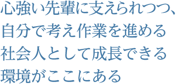 心強い先輩に支えられつつ、自分で考え作業を進める。社会人として成長できる環境がここにある。