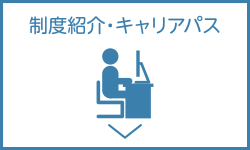 制度紹介・キャリアパス